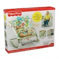  Fisher-Price Deluxe